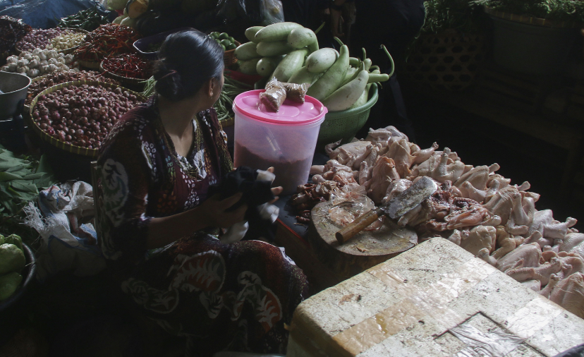 Permintaan daging ayam menungkat dampak MBG