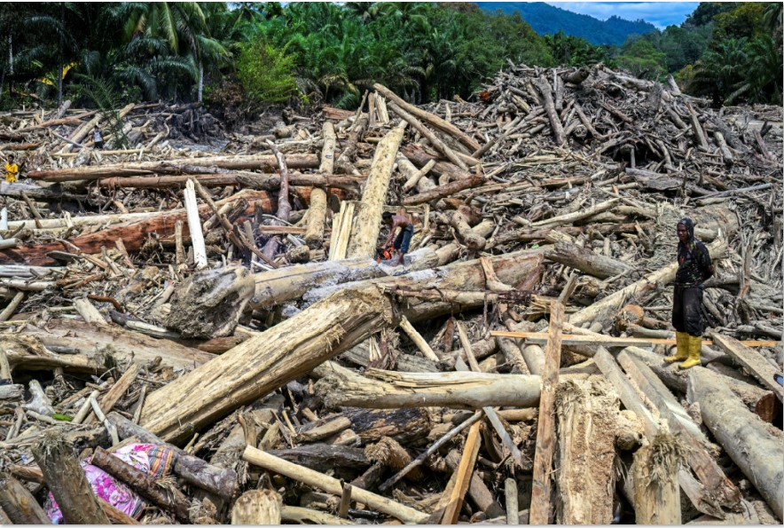 Seorang warga berdiri di tengah-tengah tumpukan kayu-kayu yang hanyut oleh banjir bandang di Garoga, Provinsi Sumatera Utara, Kamis (4/12).