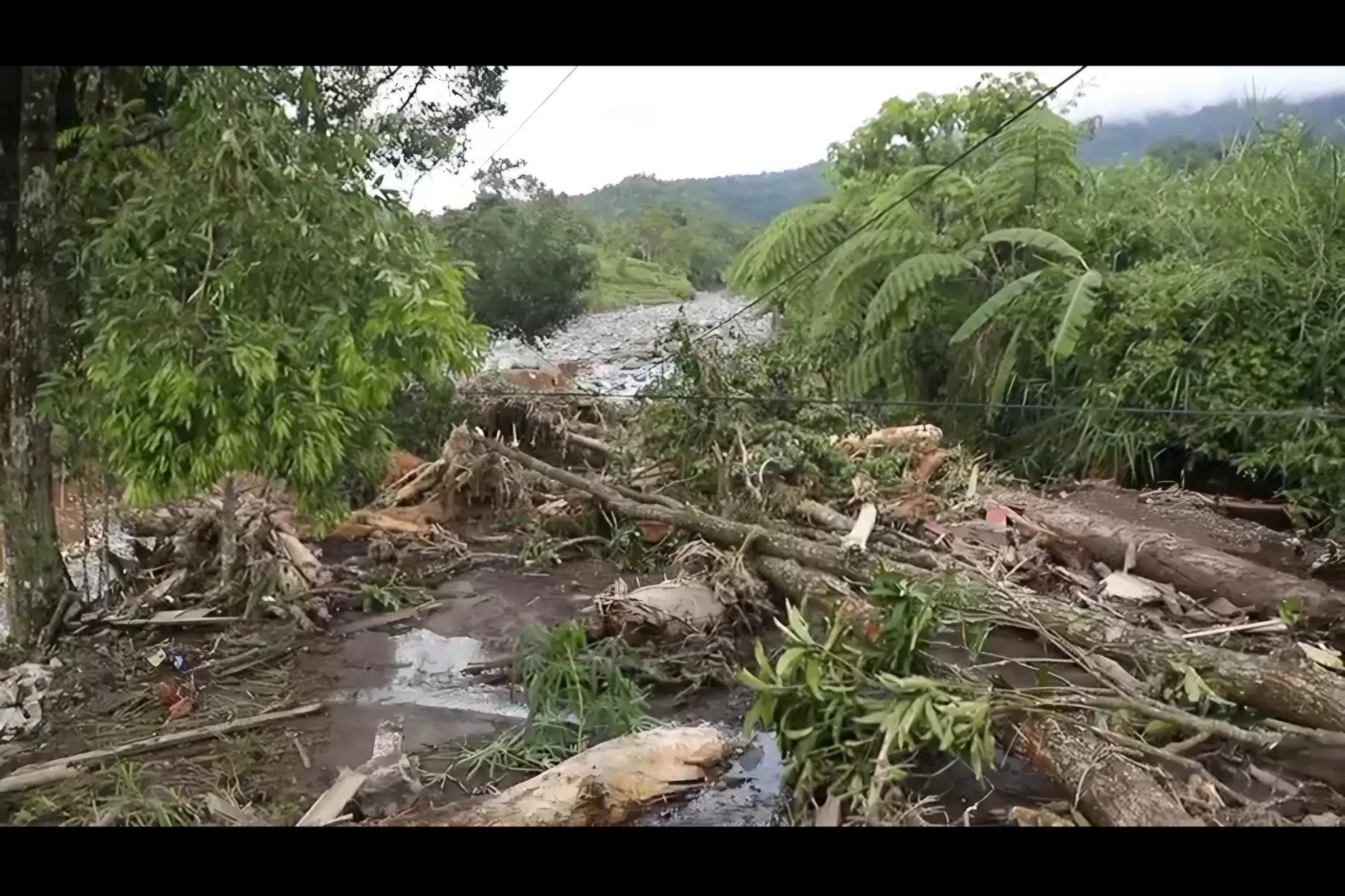 Salah satu dampak banjir bandang di Sumatera Barat. Kayu-kayu berserakan, memunculkan dugaan pembalakan liar. (BNPB)
