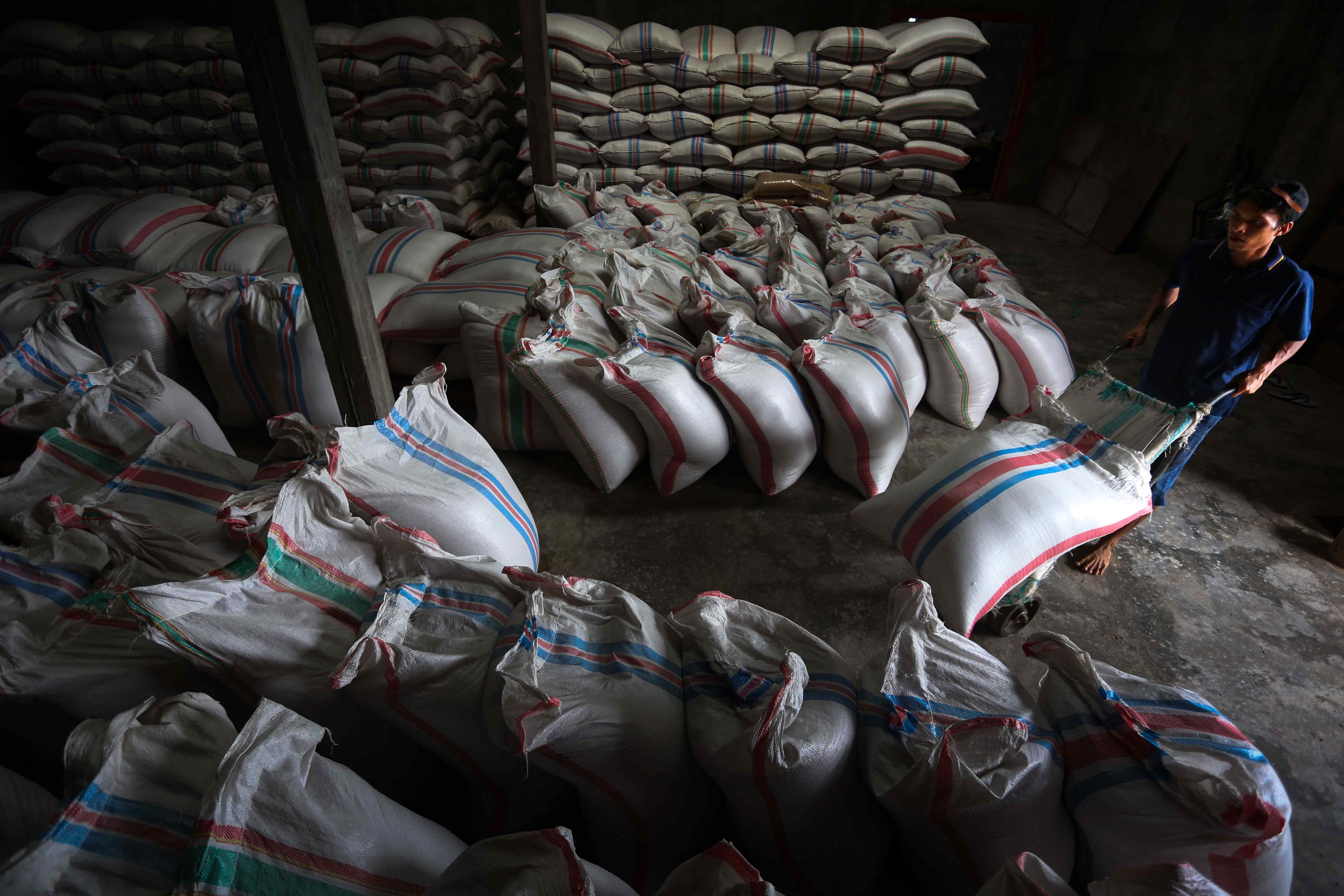 BAHAN PANGAN: Aktivitas serapan gabah petani di NTB oleh Bulog, sebagai langkah menjaga harga dan memperkuat stok pangan daerah.