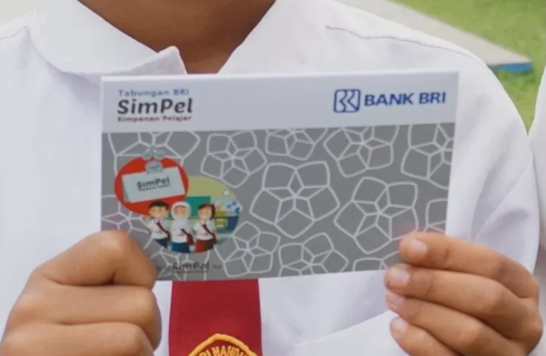 Informasi PIP