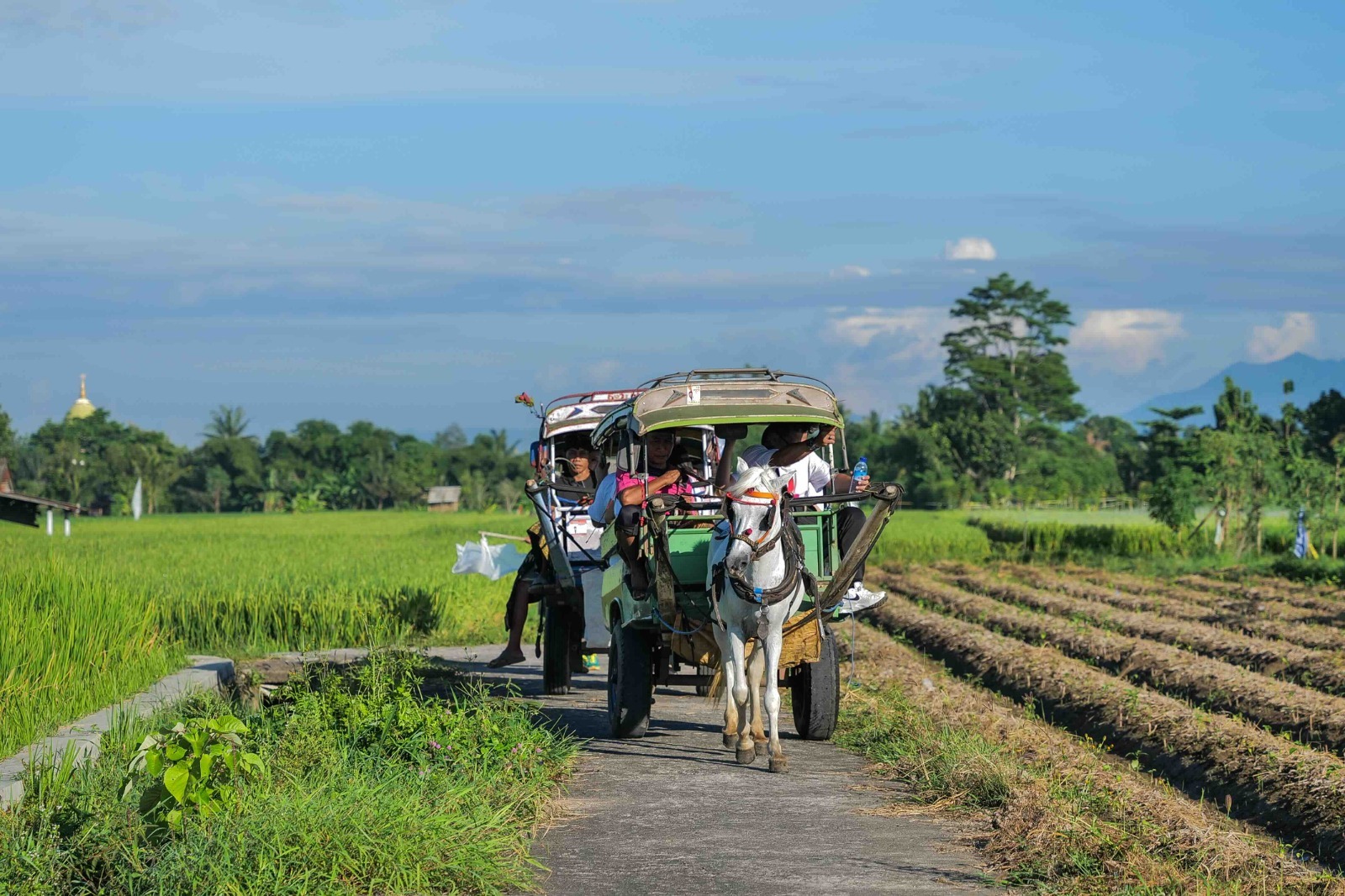 Mengelilingi hamparan sawah di Desa Wisata Hijau Bilebante, Lombok