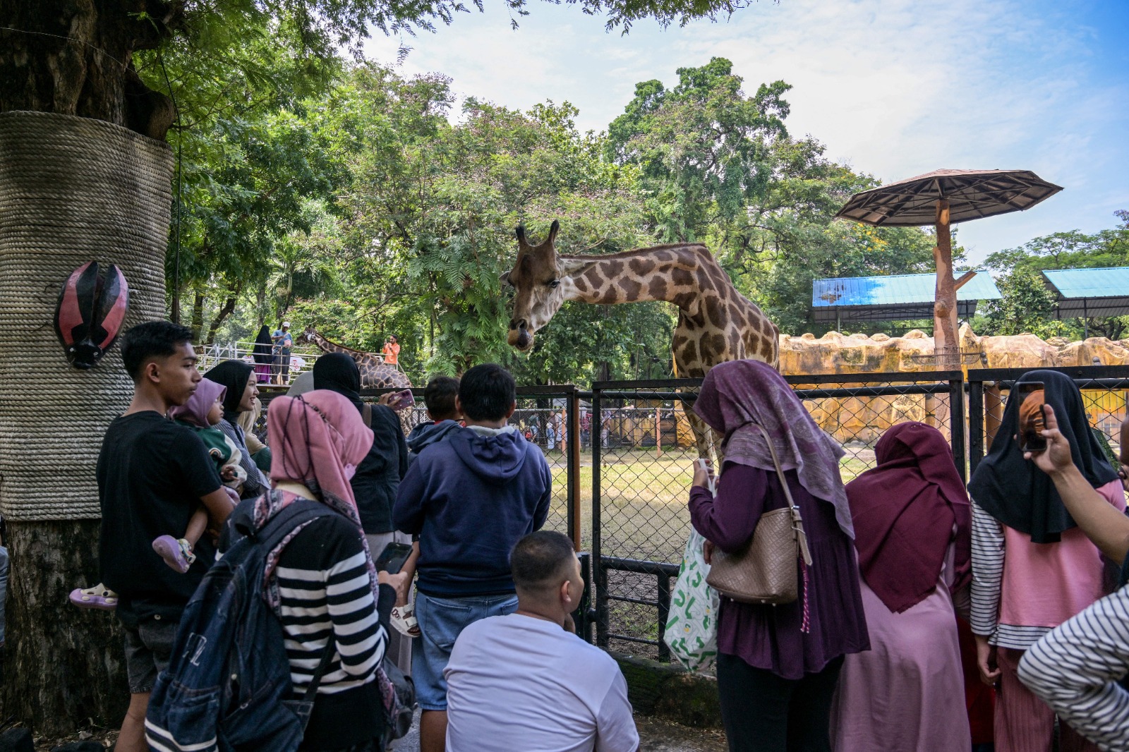 LIBURAN: Pengunjung mengamati jerapah di Kebun Binatang Surabaya saat liburan Natal dan Tahun Baru di Surabaya pada Minggu (21/12).