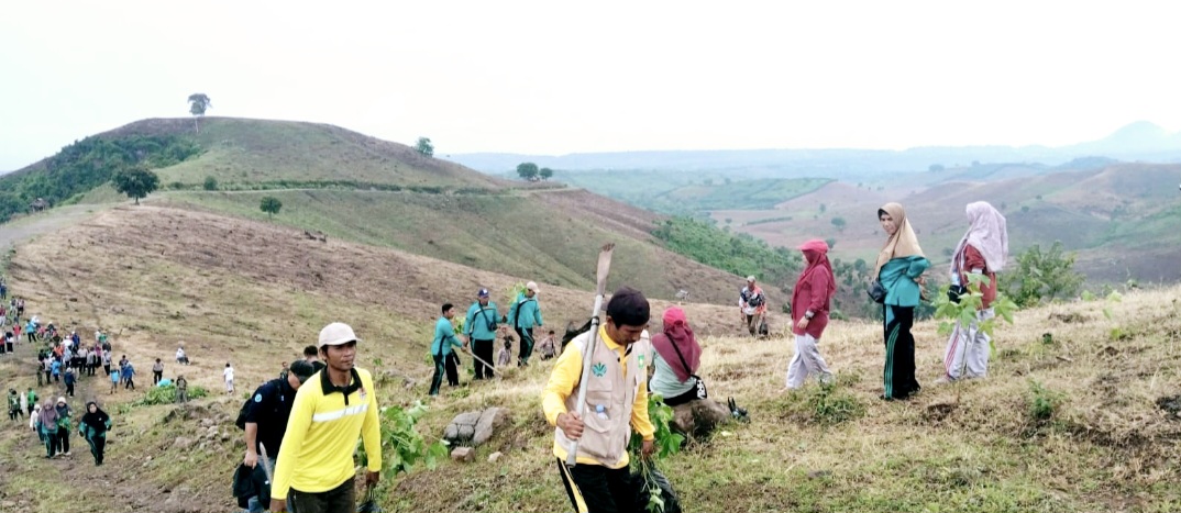 Pemkab Sumbawa menanam bibit pohon di perbukitan yang gundul di Desa Motong, Kecamatan Utan, Kabupaten Sumbawa, beberapa waktu lalu.