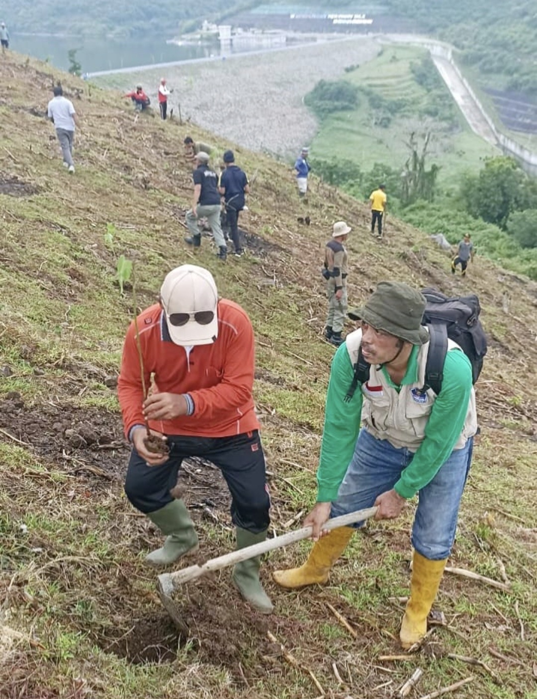 Pemkab Sumbawa dan masyarakat bergotong royong menanam bibit pohon di atas perbukitan yang gundul di wilayah Kecamatan Utan.