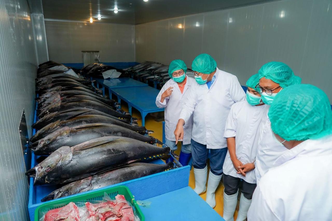 Produksi ikan menjadi tulang punggung ekonomi pesisir NTB.