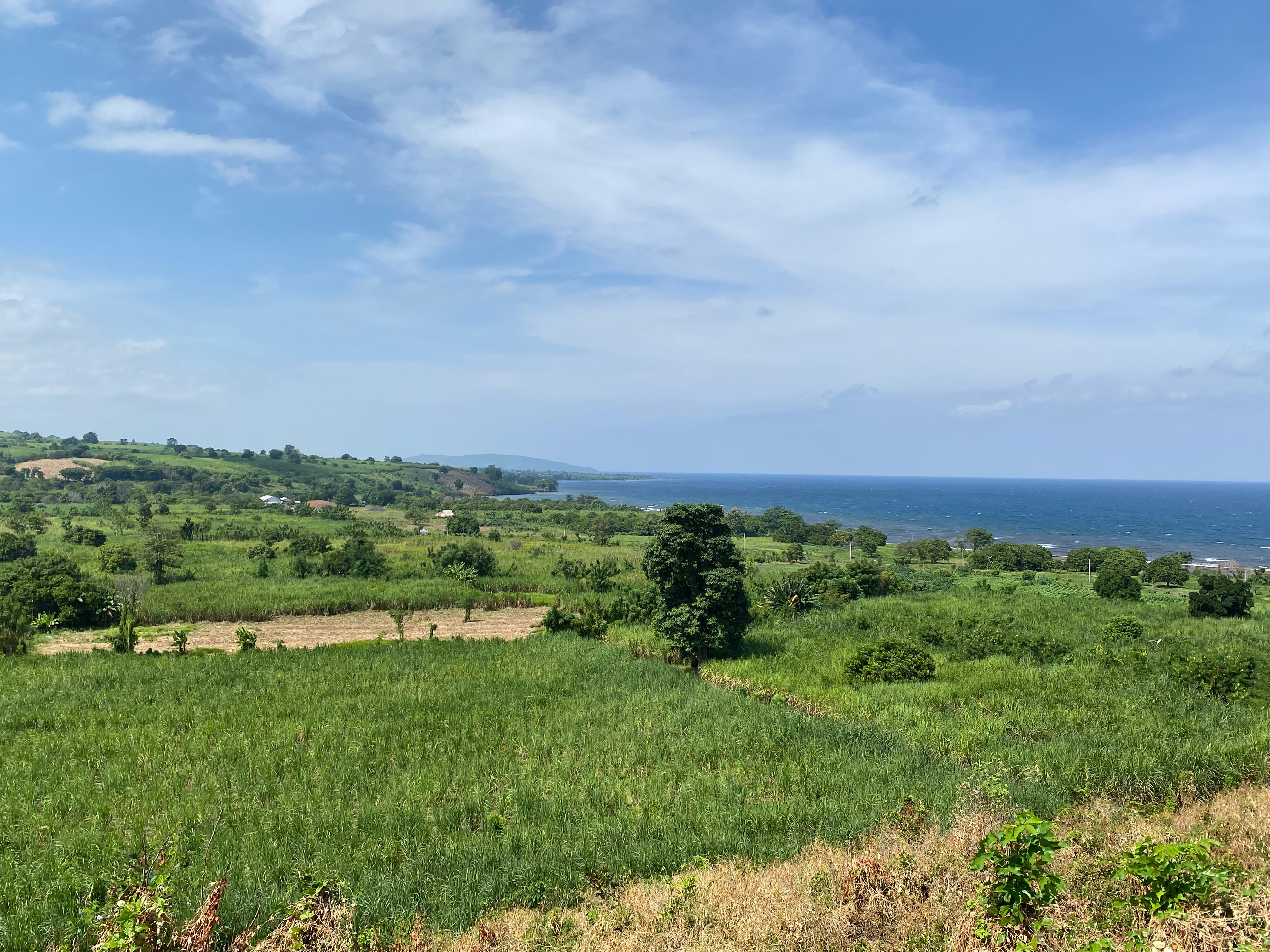 TERHAMPAR LUAS: Potensi lahan tebu di Pulau Sumbawa yang terus menunjukkan peningkatan produktivitas.