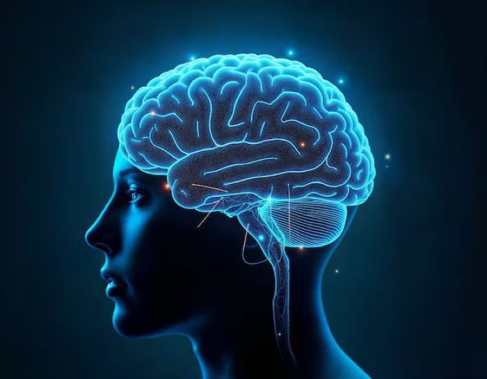Ternyata otak bisa lebih muda dari usia biologis! Simak 5 kebiasaan sehat yang memperlambat penuaan otak, efektif meski hidup dengan nyeri kronis.