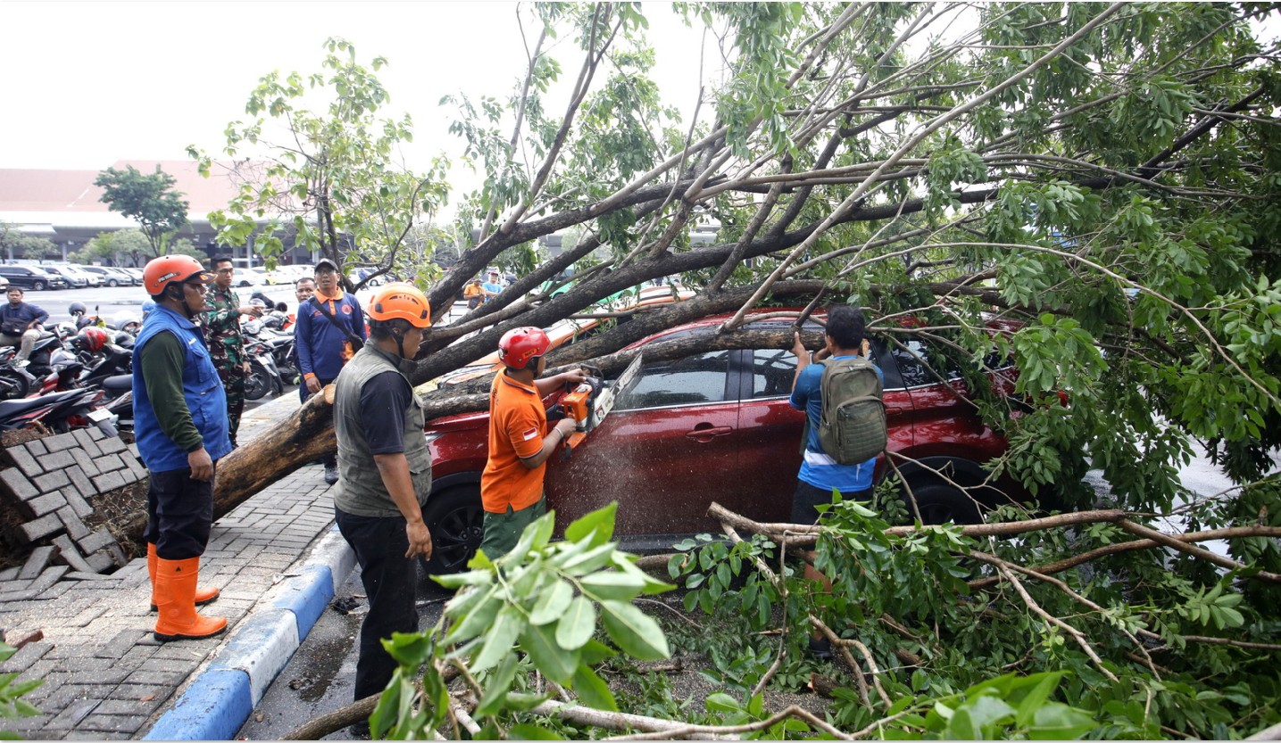 PUTING BELIUNG: Bandara Juanda diterjang puting beliung menyebabkan beberapa pohon tumbang, Kamis (8/1).