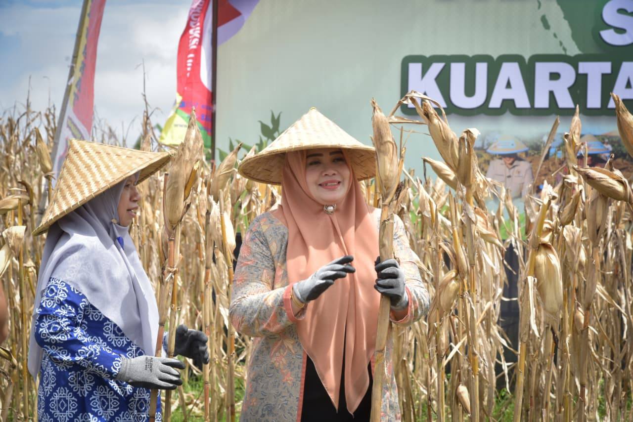 Wagub NTB Indah Dhamayanti Putri (kanan) bersama Wakil Bupati Lombok Barat Nurul Adha, di Panen Raya Jagung Serentak Kuartal 1 Tahun 2026 di Dusun Batu Samban, Lombok Barat, Kamis (8/1).