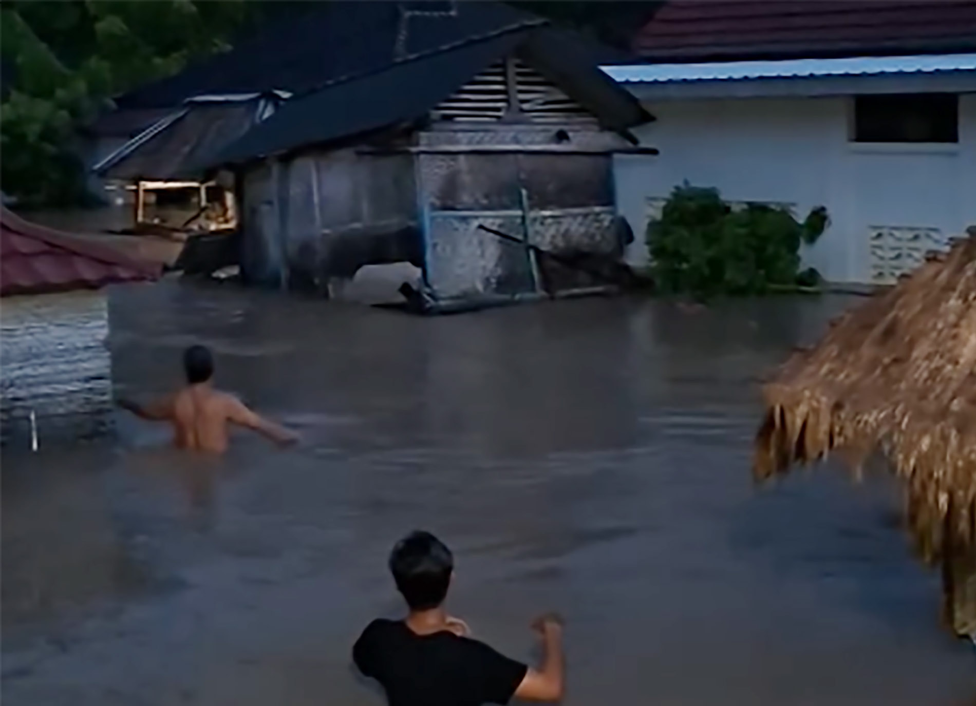 Banjir menggenangi permukiman warga di Desa Persiapan Pengantap, Sekotong, Lombok Barat, Selasa malam (13/1).