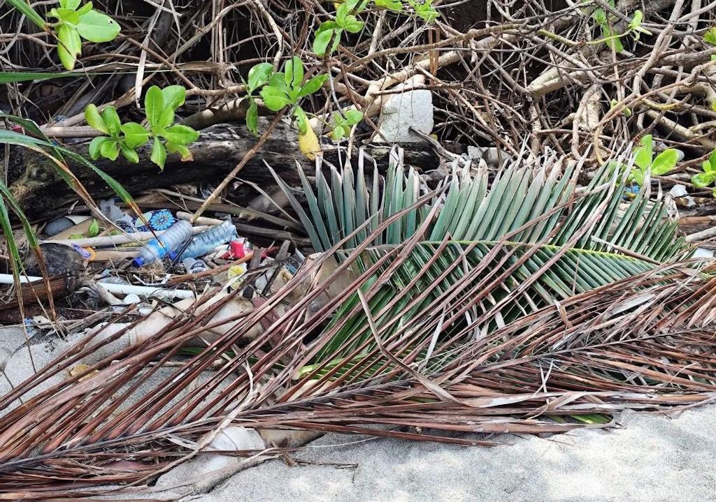 PENEMUAN MAYAT: Kondisi mayat perempuan tanpa tangan ditemukan di pesisir Pantai Pandanan, Lombok Utara, Minggu (18/1) lalu.