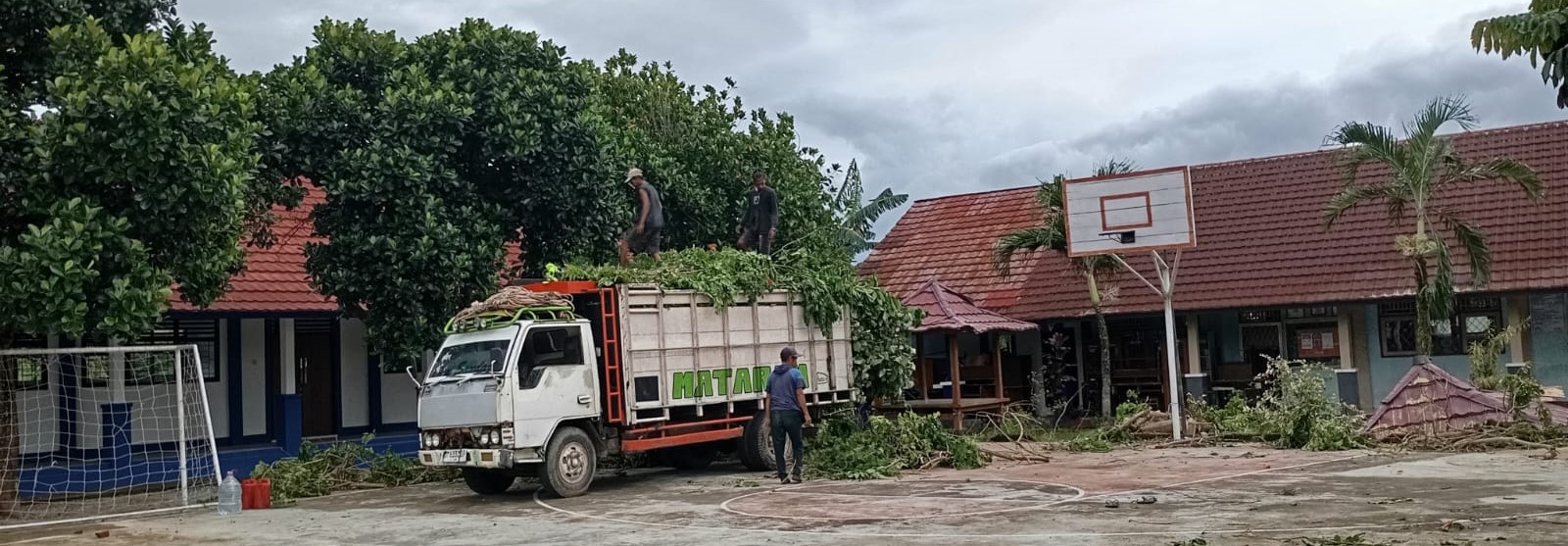 Sejumlah petugas DLH Kota Mataram mengangkut ranting dan batang pohon yang tumbang di SMPN 16 Mataram, Rabu (21/1). Pohon tumbang timpa berugak SMPN 16 Mataram.