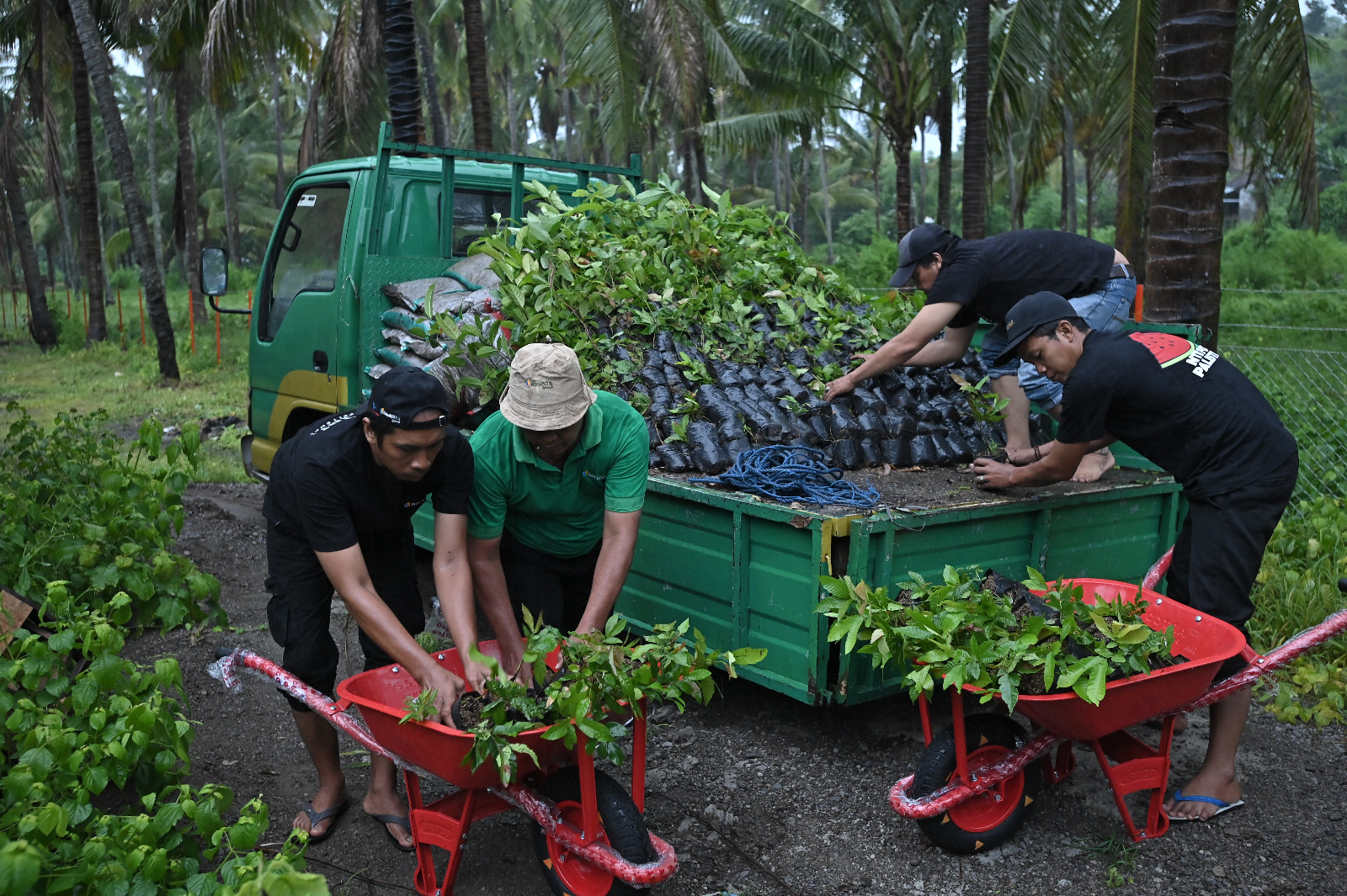 Perayaan Hari Jadi (Milad) Kabupaten Sumbawa yang ke-67 pada hari ini, 22 Januari 2026, PT Bank NTB Syariah mempersembahkan Nursery Farm.