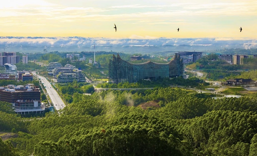 Di tengah hamparan hijau Kalimantan, kawasan inti Ibu Kota Nusantara perlahan membentuk wajahnya&mdash;perpaduan infrastruktur modern, hutan yang dipertahankan, dan visi kota masa depan yang berkelanjutan.