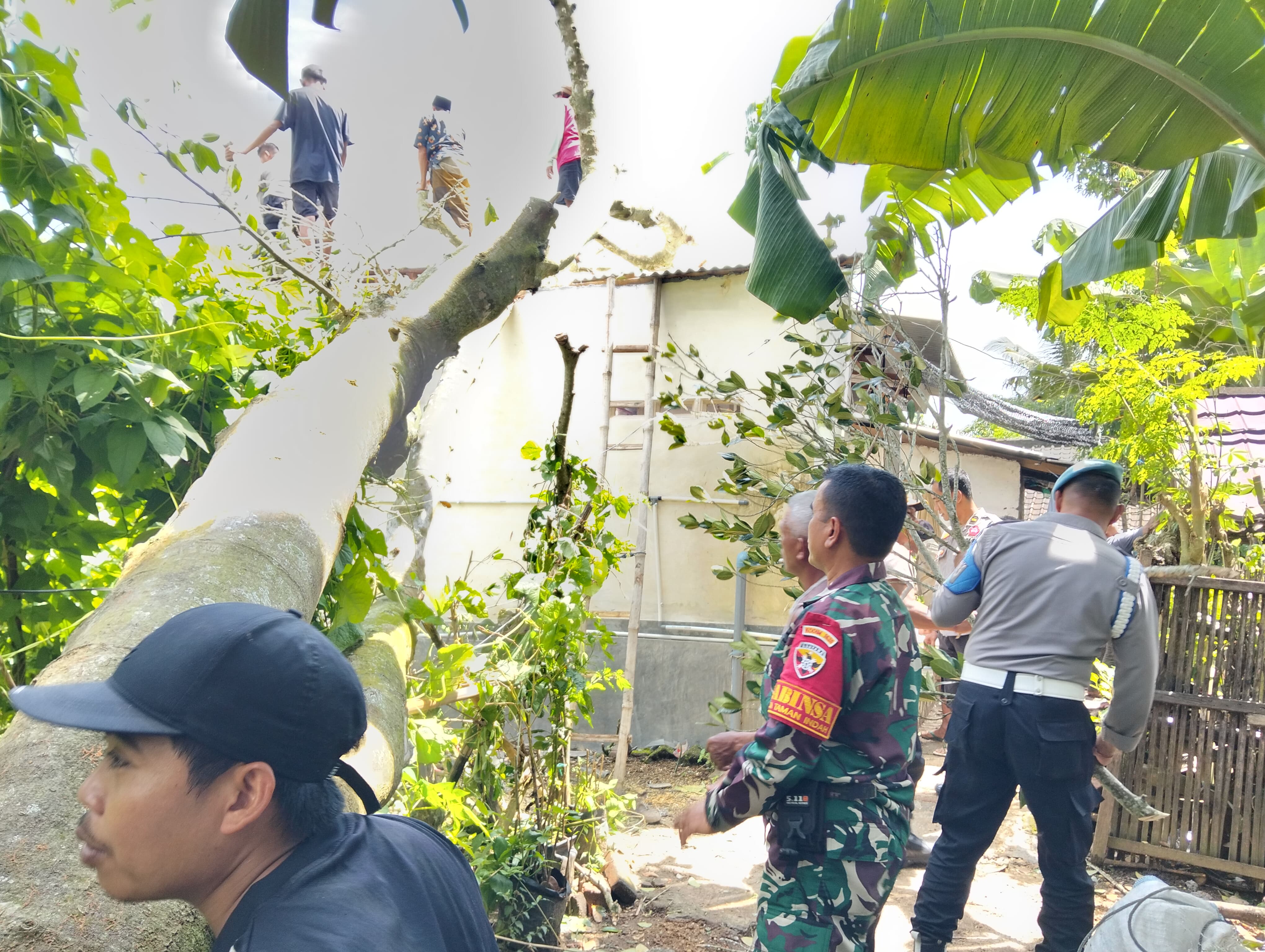 TNI merespons potensi dampak cuaca ekstrem dan angin kencang di sertai hujan yang melanda di hampir seluruh wilayah NTB khususnya Lombok Tengah belakangan ini.