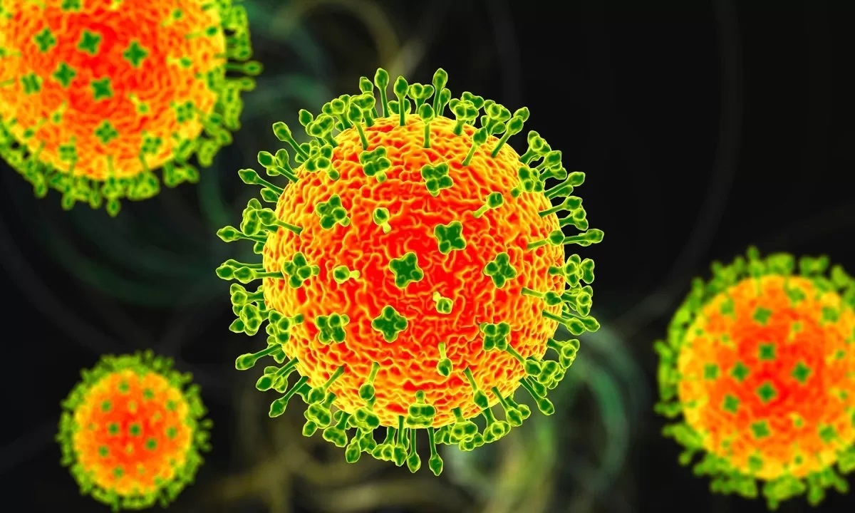 Ilustrasi virus Nipah yang dapat menular dari hewan ke manusia. (Foto: Global Times)