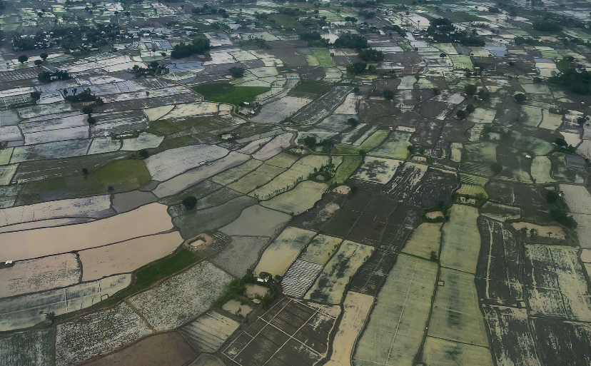 Ilustrasi sawah terendam