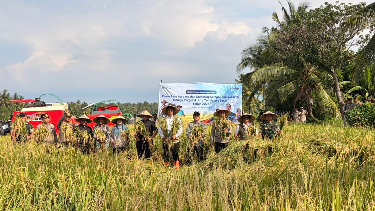 Perum BULOG resmi meluncurkan program Serapan Gabah Petani tahun 2026 di Kabupaten Lombok Utara, NTB. Langkah ini merupakan bagian dari strategi Swasembada Pangan Nasional.