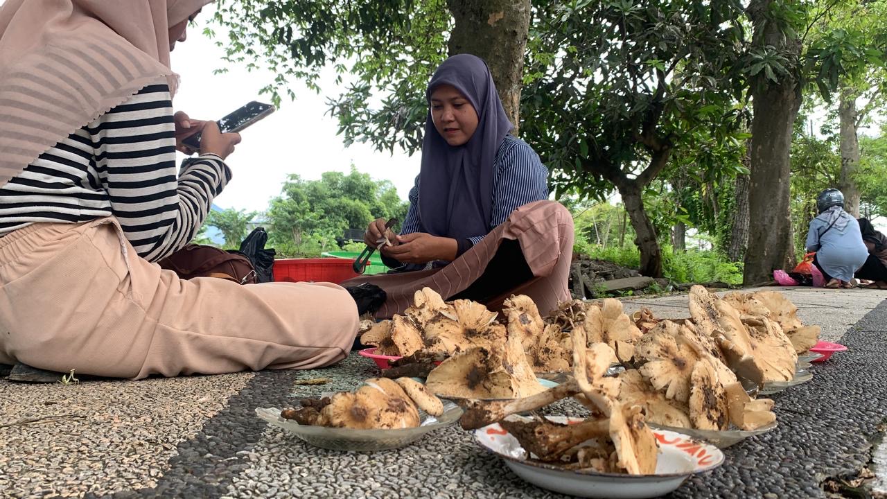 Pedagang tengkong atau jamur bulan yang tengah melapak di Jempong, Limgkar Selatan.