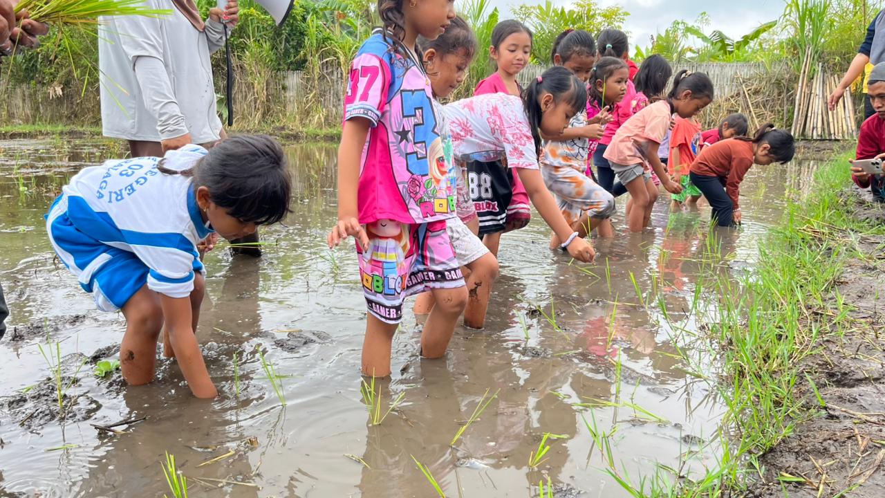 TANAM PADI: Puluhan anak-anak TD di Lotim bersama gurunya sedang menanam padi di wisata edukasi Embulan Borok, Desa Anjani, Kecamatan Suralaga