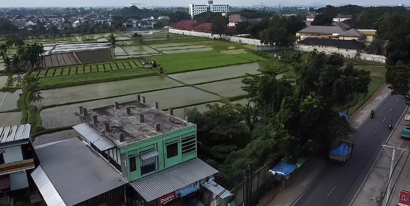 Lahan sawah di Kota Mataram yang kian terkikis