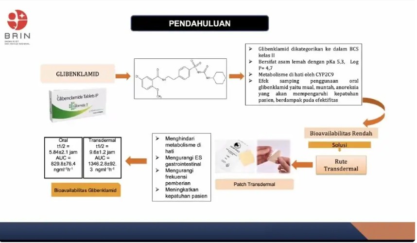 BRIN Kembangkan Obat Antidiabetes, Hantarkan Obat melalui Kulit