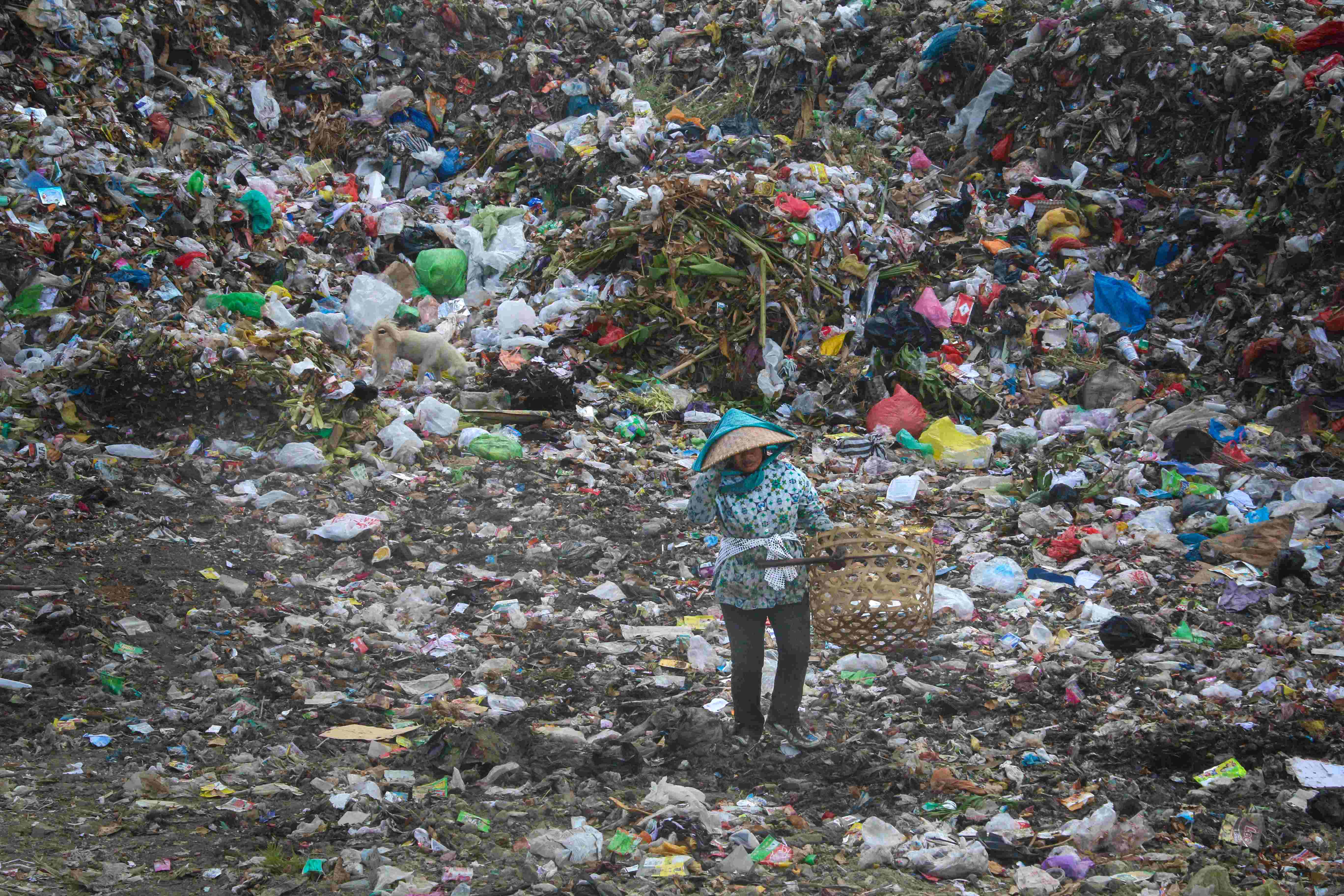 SUMBER PENDAPATAN: Seorang pemulung memilih sampah yang ada di TPAR Kebon Kongok, beberapa waktu lalu.