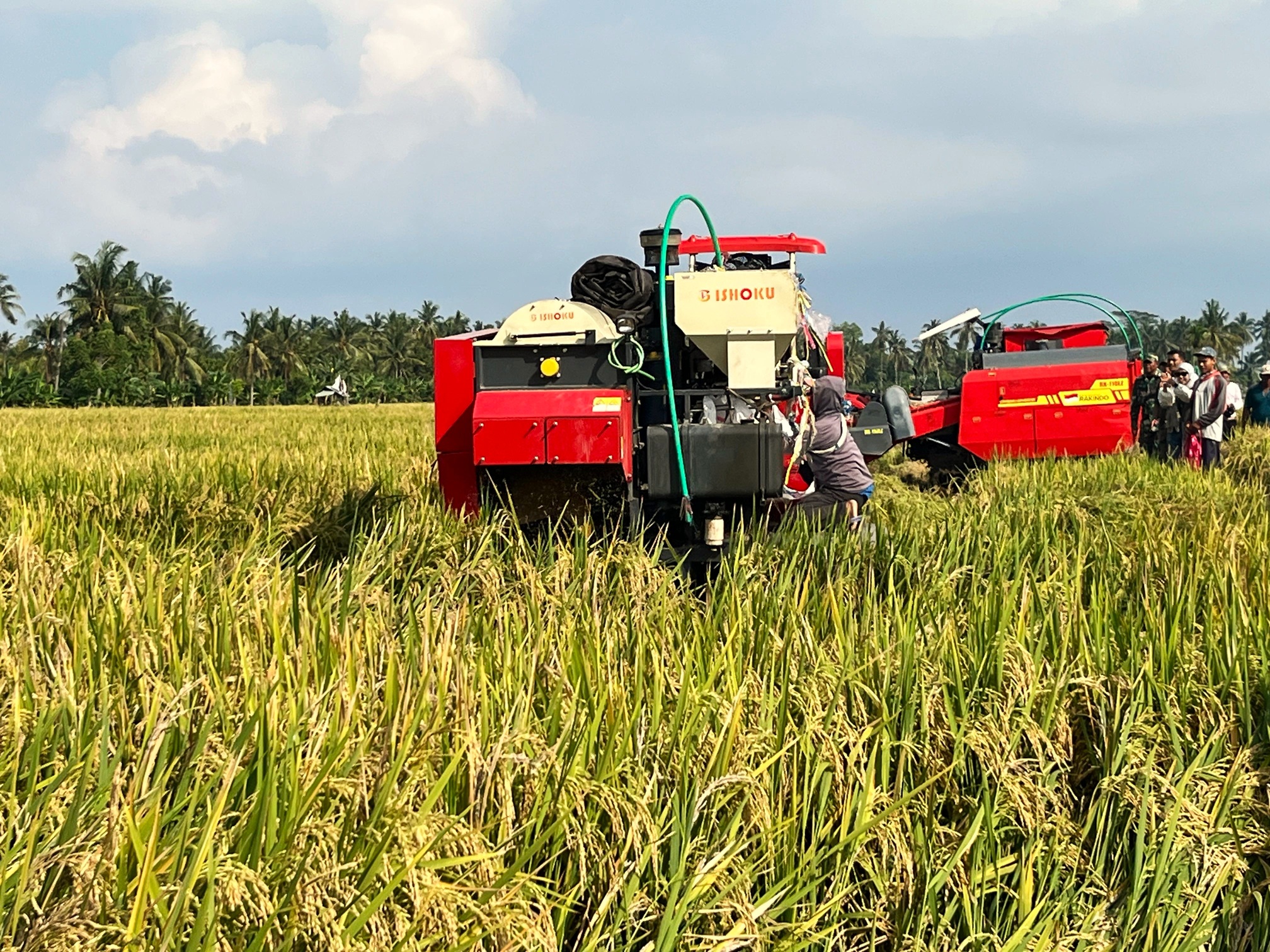 PANEN RAYA: Salah satu mesin harvester yang tengah melakukan panen padi dalam kegiatan panen raya di Lombok Utara, belum lama ini.