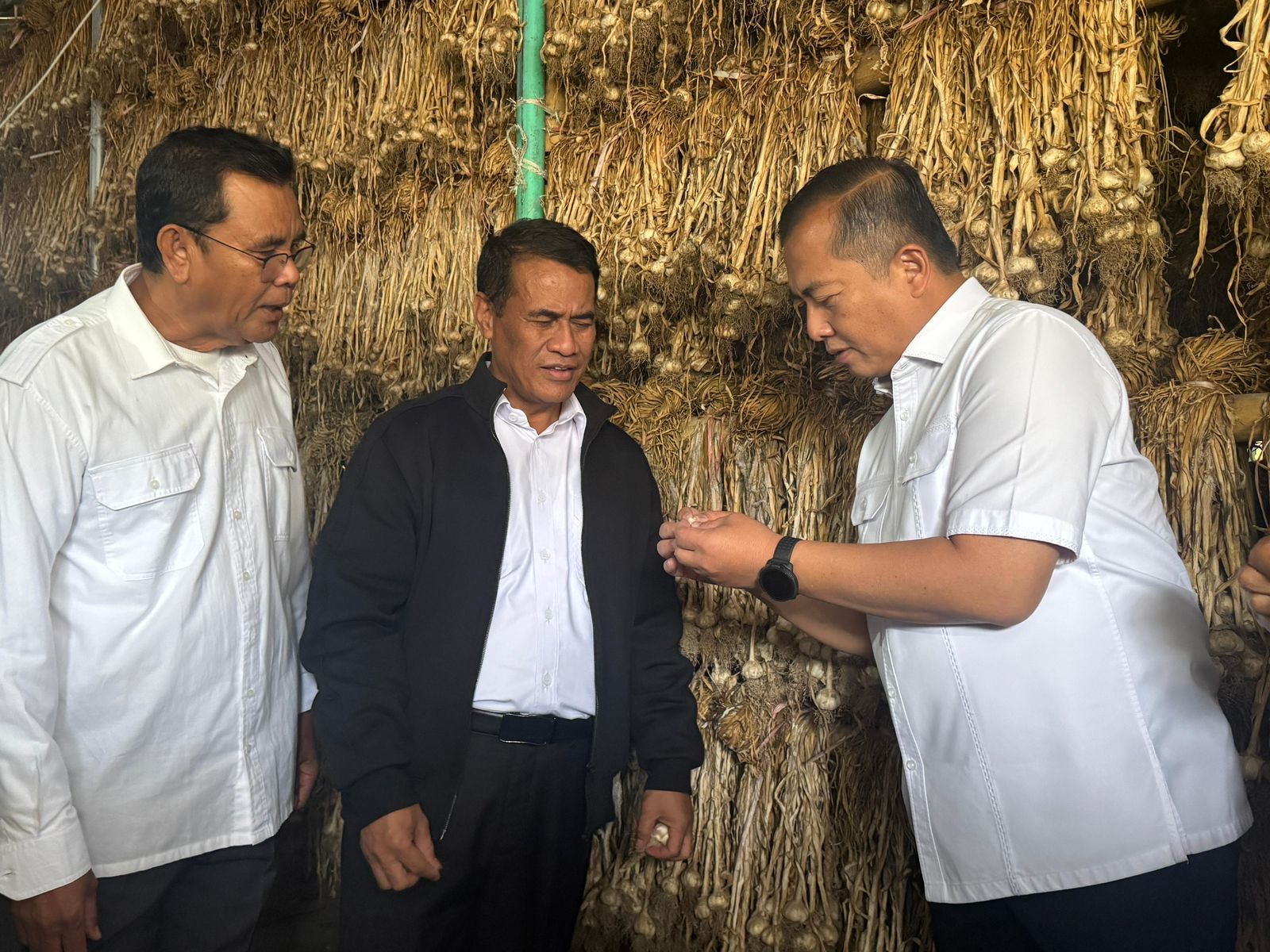 Menteri Pertanian bersama Gubernur NTB saat meninjau benih bawang putih di Kecamatan Sembalun.