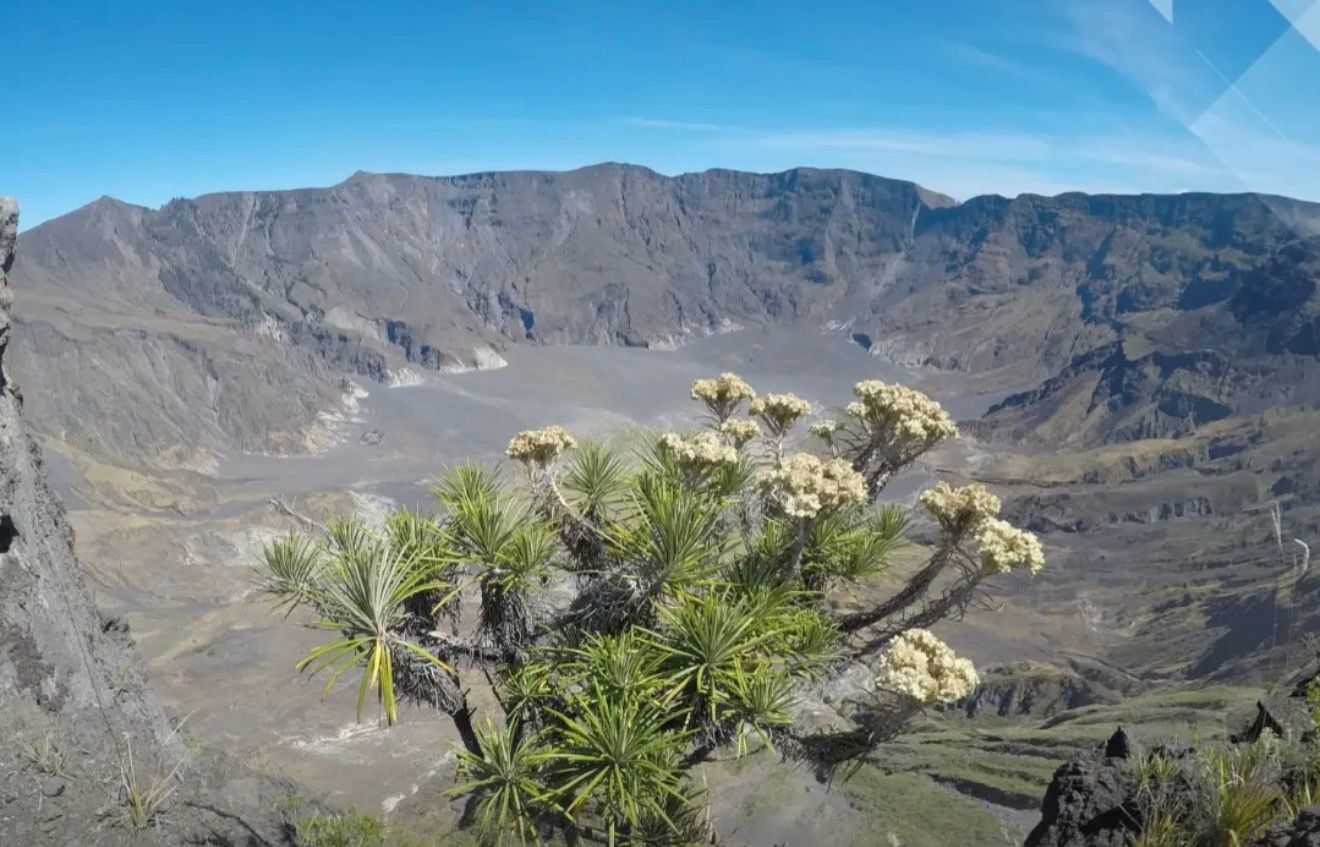 DAYA TARIK: Aktivitas vulkanik Gunung Tambora masih tinggi. Kaldera terlihat dari kejauhan, sementara masyarakat diimbau mematuhi larangan masuk radius 3 km.