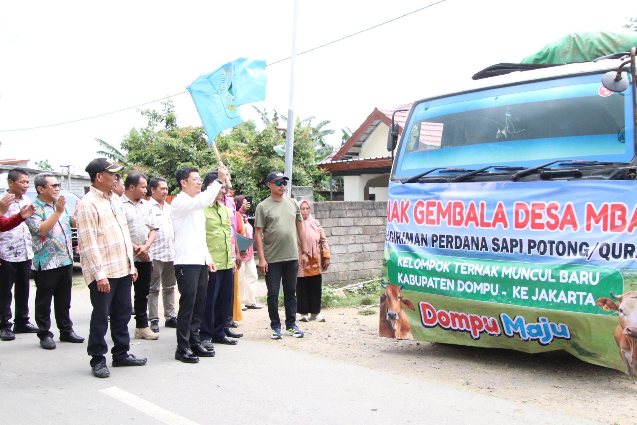 Bupati Dompu Bambang Firdaus DIdampingi jajaran Disnakeswan, UPTD dan Kades melepas perdana 107 Ekor Sapi potong kurban milik petani ternak Desa Mbawi, Kamis (26/3).