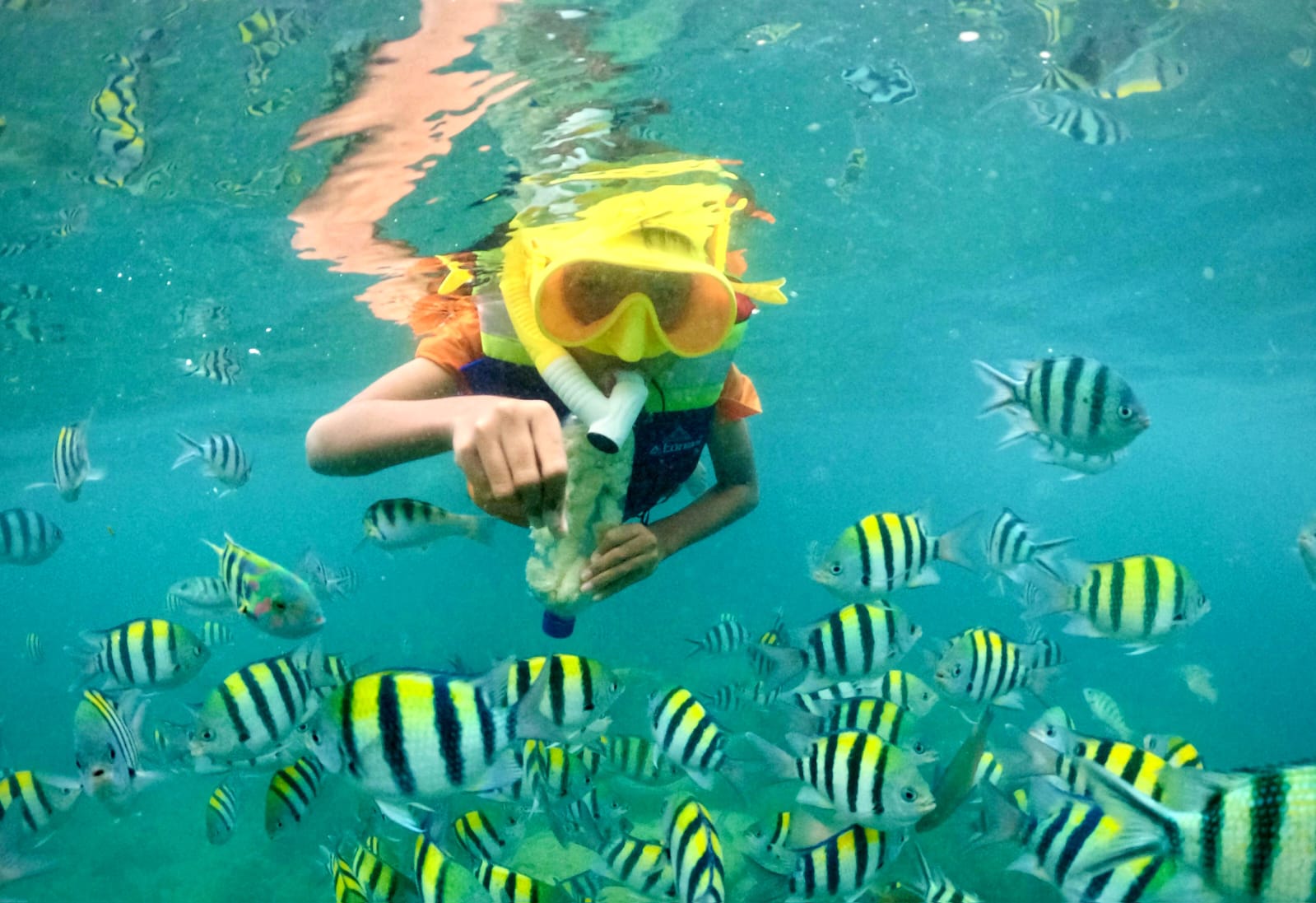 KERAJAAN NEMO: Wisatawan menikmati kejernihan air dan bermain bersama ikan warna-warni di tepian Gili Nanggu, Sekotong, saat libur Lebaran.