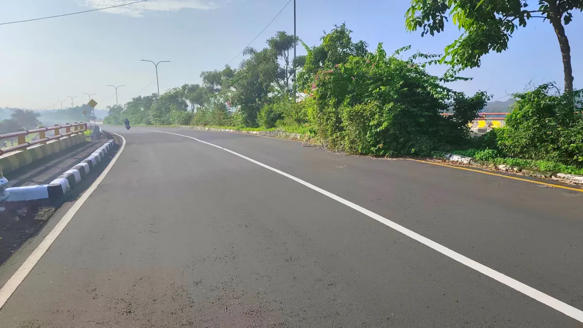 BUTUH DITATA: Kondisi tanaman hias pada median jalan bypass BIL-Mandalika tak terawat, selain rumput liar, tanaman rimbun juga menjorok ke jalan raya.