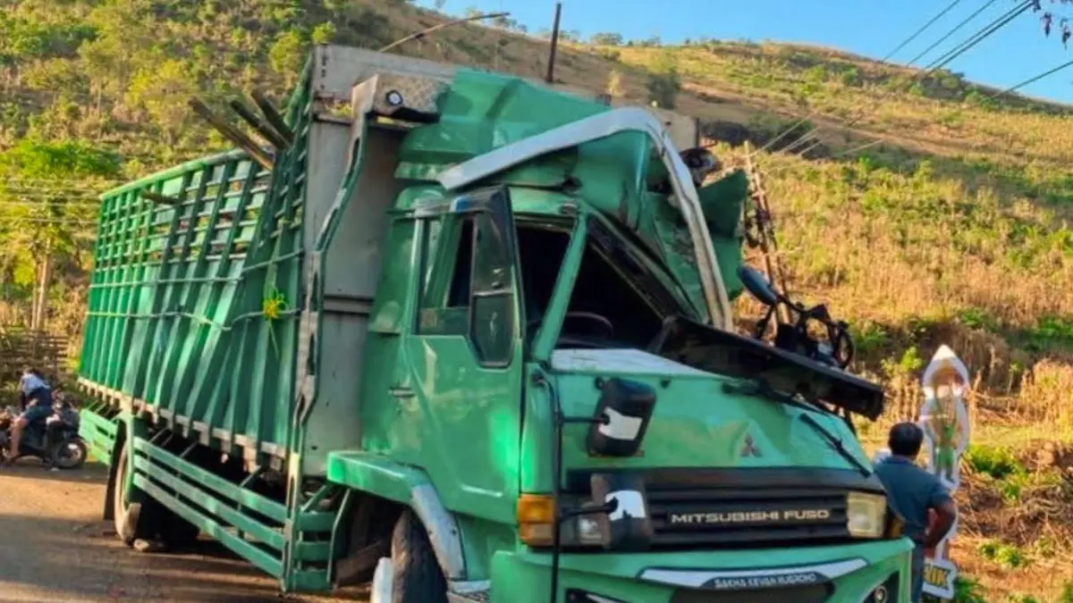 Truk bermuatan sapi kecelakaan di wilayah Tekasire, Dompu, Selasa malam (31/3).