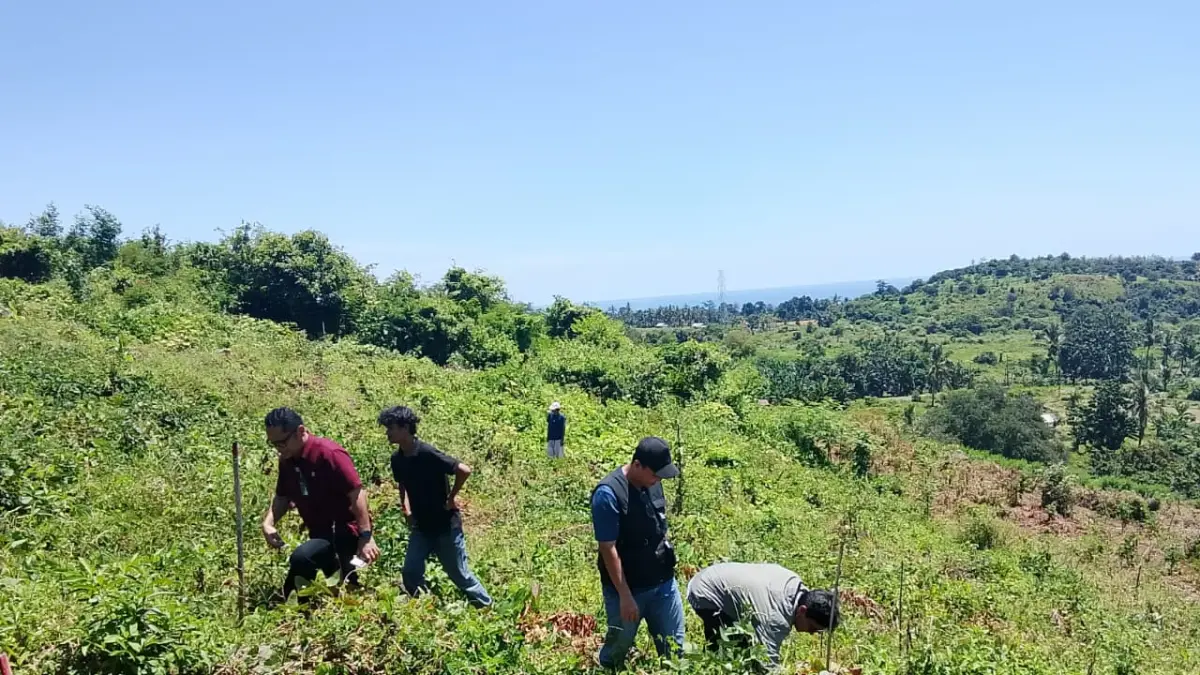 PT PLN (Persero) UIP Nusra bersama masyarakat melaksanakan monitoring penanaman pohon di kawasan hutan fungsi produksi Kesatuan Pengelolaan Hutan (KPH) Rinjani Timur, Desa Belanting, Kecamatan Sambelia, Lombok Timur.
