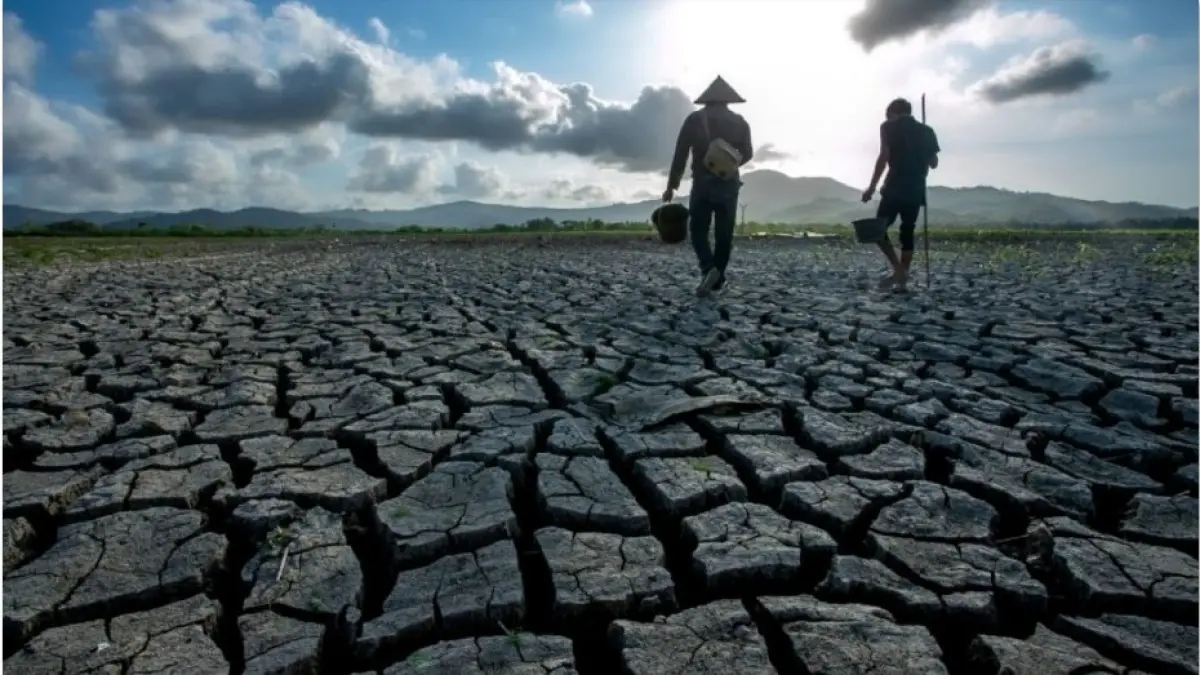 WASPADA KEKERINGAN: Hamparan sawah mengering di Desa Sengkol, Lombok Tengah, saat musim kemarau Oktober 2024 lalu. BMKG Peringatkan Musim Kemarau 2026 Jadi yang Paling Kering dalam 30 Tahun Terakhir. (Dok. Lombok Post)
