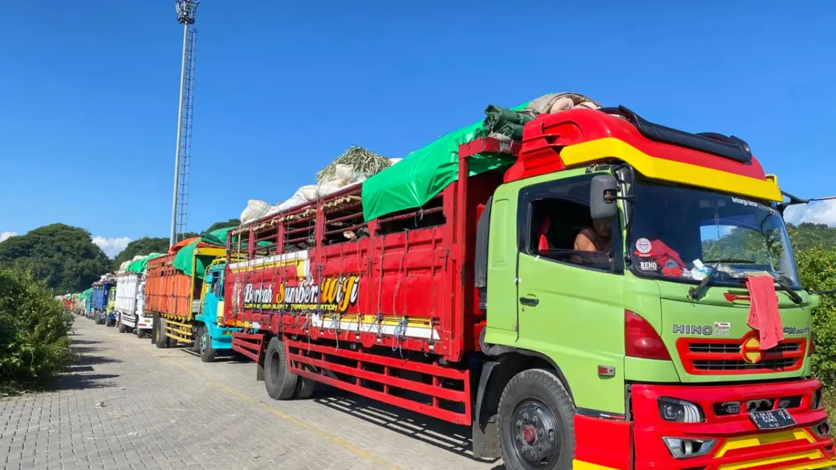Hampir 10 ribu ekor sapi menyeberang dari Lembar, Pelindo jaga kelancaran distribusi
jelang Iduladha.