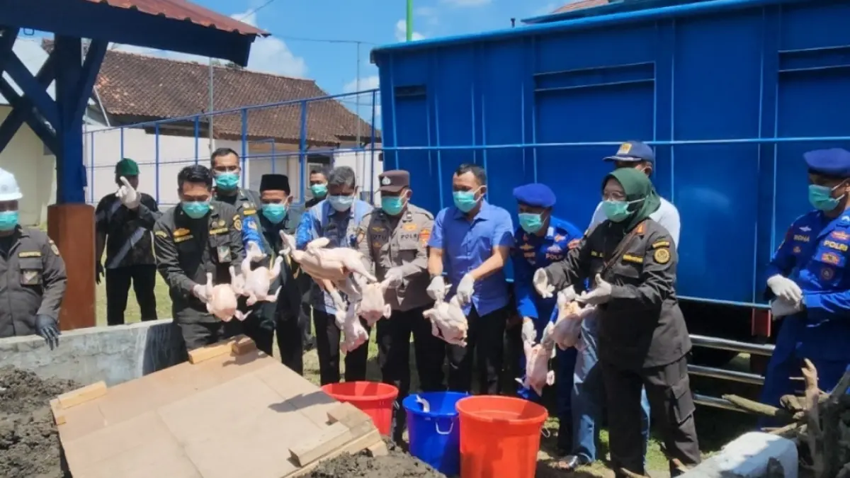 Jaga keamanan pangan, Karantina NTB musnahkan 5,9 ton daging ayam tidak layak.