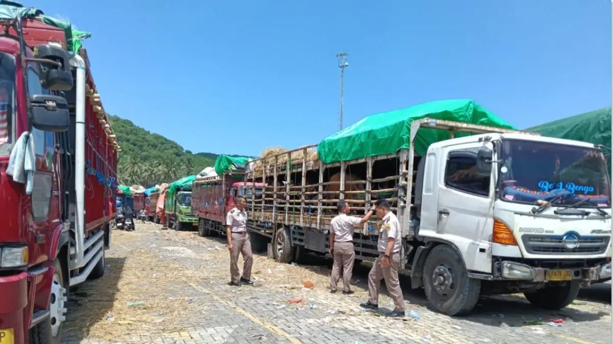 LANCAR: Suasana antrean truk pengangkut hewan ternak yang akan menuju Pulau Jawa di Pelabuhan Gili Mas, Lombok Barat, Rabu (15/4). (DISKOMINFOTIK NTB/LOMBOK POST)