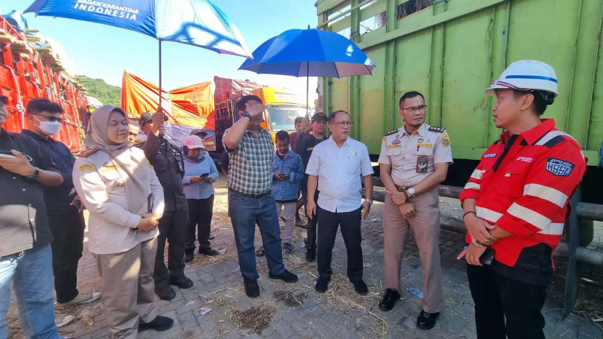 Barantin perketat pengawasan lalu lintas puluhan ribu ternak NTB ke Jawa jelang Idul Adha 2026.