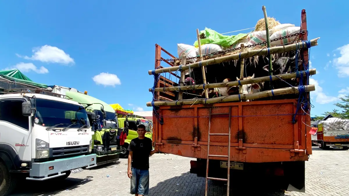 Deretan truk bermuatan sapi asal Bima tampak mengantre di area parkir Pelabuhan Gili Mas, Lembar, Jumat (17/4). (TONI/LOMBOK POST)