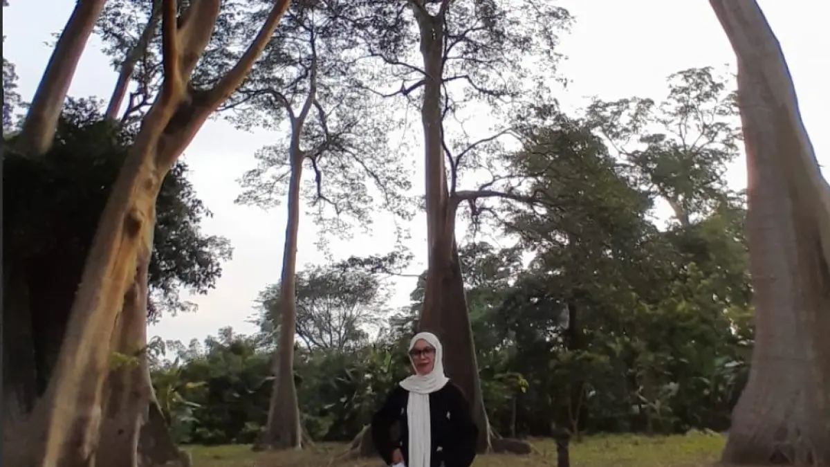 WISATA POHON PURBA: Sejumlah pengujung wisata pohon Purba Kayu Lian di Desa Gunung Malang, Pringgabaya. (SUPARDI/LOMBOK POST)