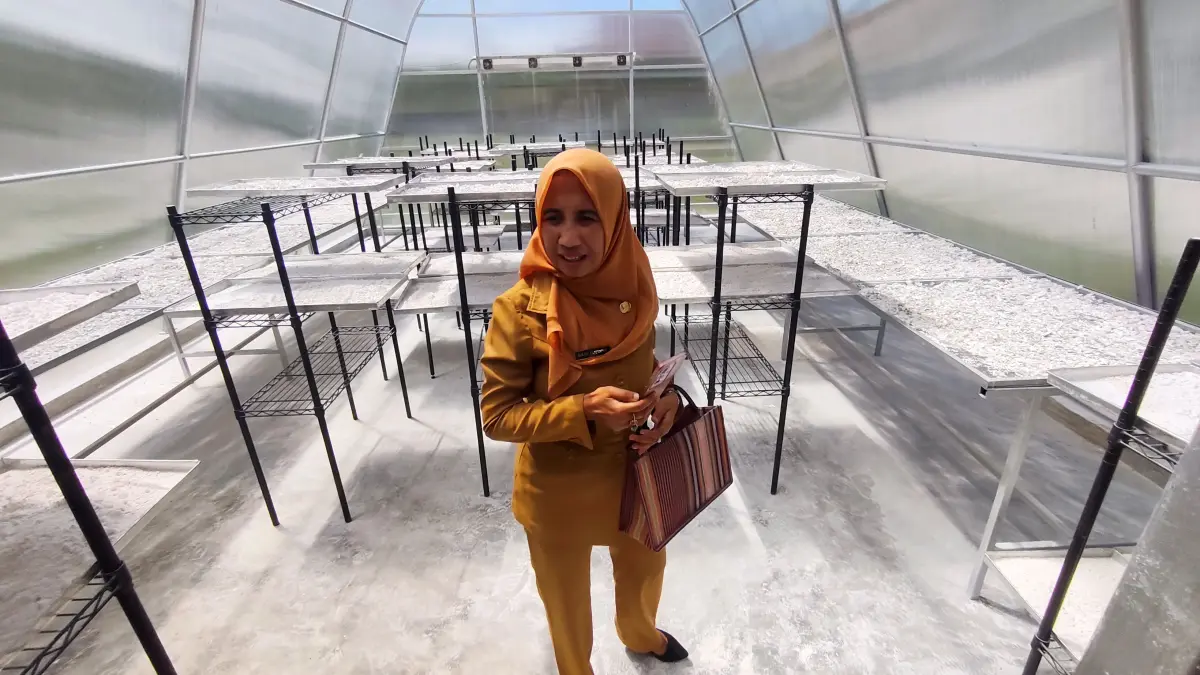 Kepala Bidang Perindustrian Disperindag Loteng Baiq Yuliana Safriani saat melihat kondisi penjemuran tepung tapioka di Sentra IKM Pengolahan Pangan, Dusun Pancor Dao, Desa Aik Darek, Batukliang, Loteng, Selasa (28/4). (Dewi/Lombok Post) 
