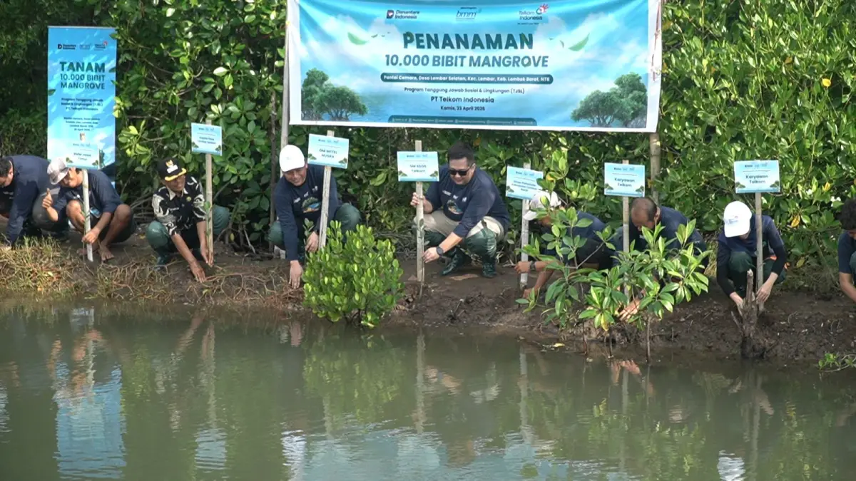 PELESTARIAN PESISIR: Telkom Indonesia berkolaborasi dengan Baitulmaal Muamalat (BMM) melakukan penanaman 10.000 bibit mangrove di Pantai Cemara, Lombok Barat. (Istimewa)