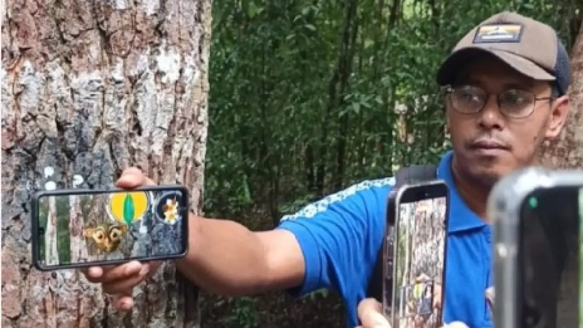 AKSI KORPORASI : Pemandu wisata di Bukit Peramun memperlihatkan kepada pengunjung cara mengenali pohon dengan handphone. Pengembangan teknologi di wilayah ini didukung oleh BCA. (Ferlynda Putri/Jawa Pos)