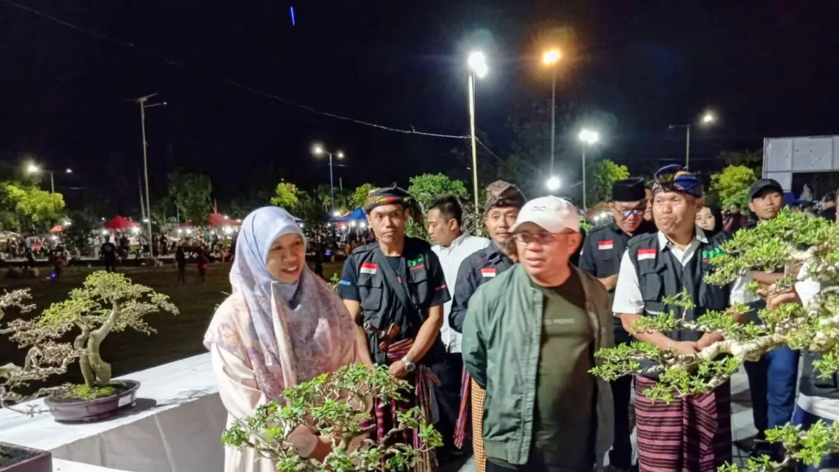 SENI DAN EKONOMI: Deretan bonsai berprestasi senilai puluhan juta rupiah dipamerkan di Alun-alun Kota Gerung, Minggu (3/5). 
