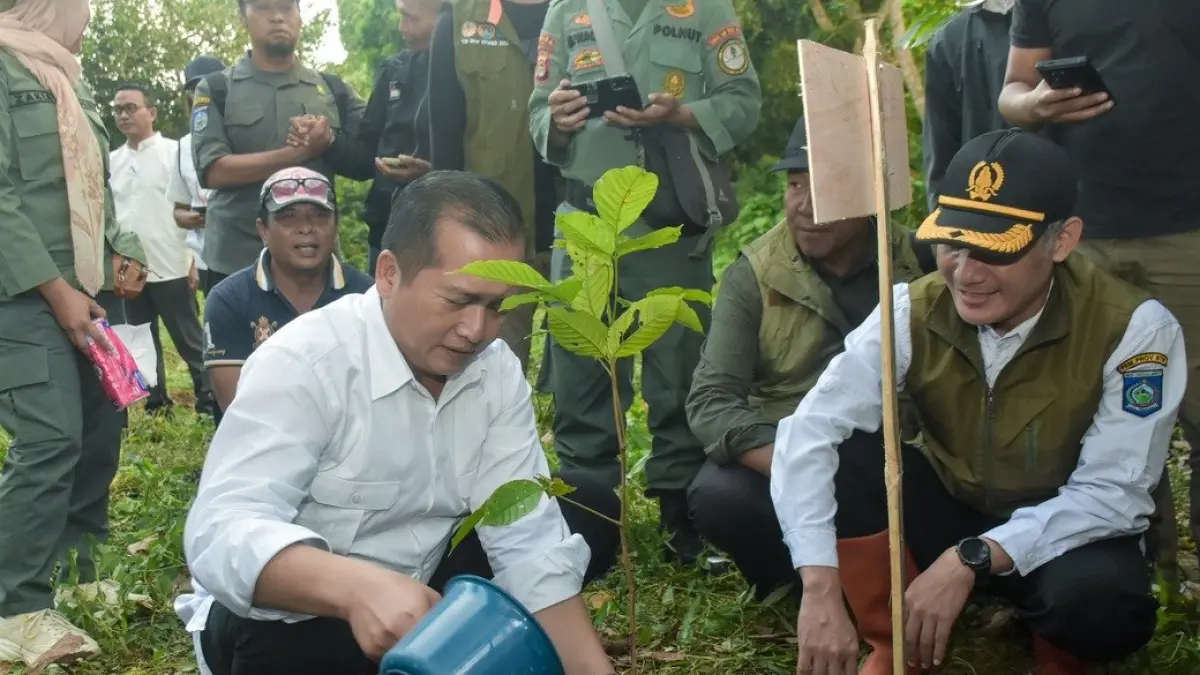 Gubernur NTB melakukan penanaman pohon.
