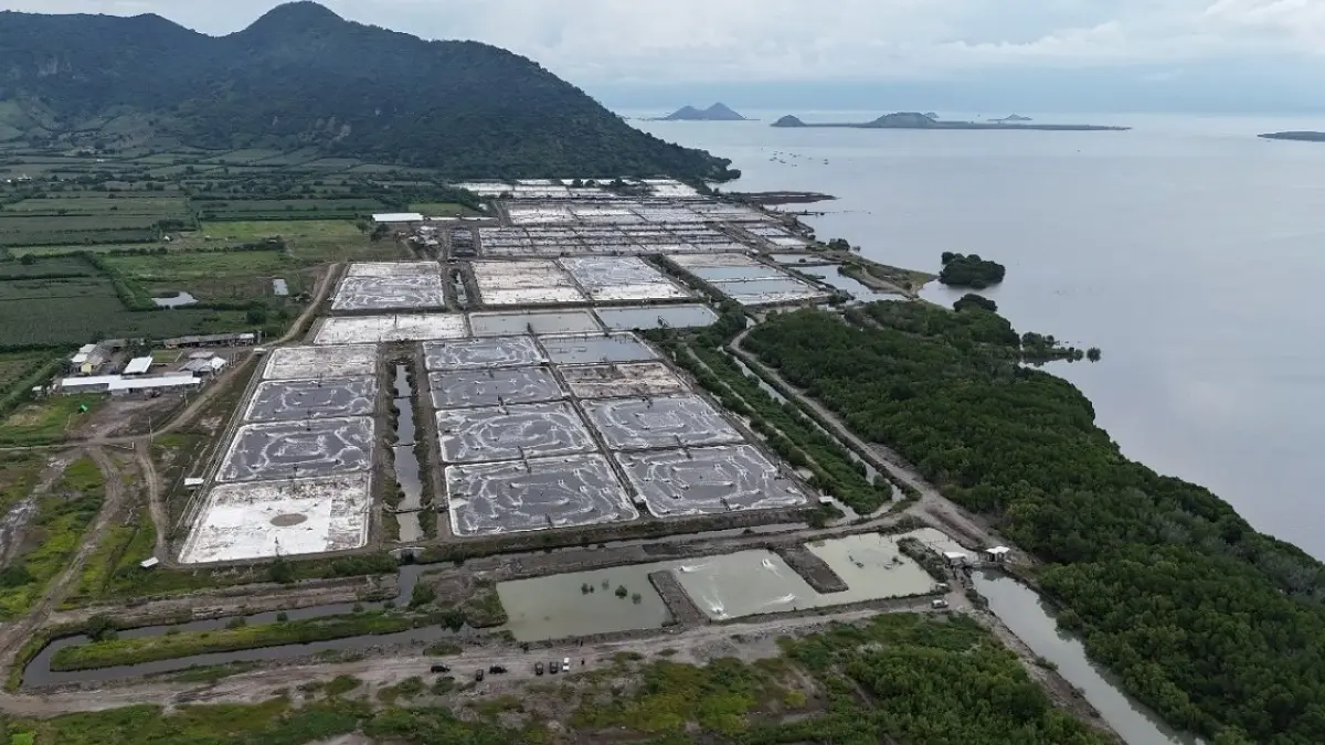 HARUS DIBENAHI: Salah satu lokasi usaha tambak udang yang beroperasi di NTB. (IST/LOMBOK POST)