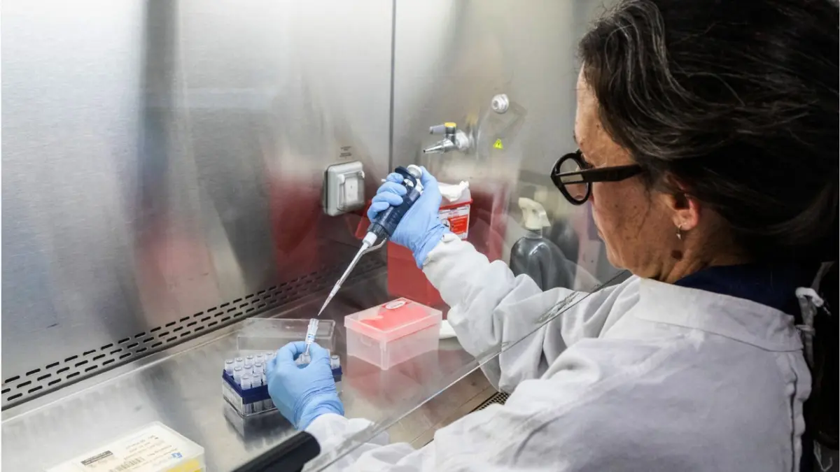 PERIKSA SAMPEL: Seorang ilmuwan dari Institut Malbran sedang menangani wadah yang digunakan untuk mendiagnosis hantavirus Andes yang berisi RNA dari virus Andes sebagai bagian dari proses deteksi di Buenos Aires, Argentina pada Rabu (6/5). WHO menilai risiko kesehatan global akibat hantavirus masih rendah. (KEMENTERIAN KESEHATAN ARGENTINA / AFP)